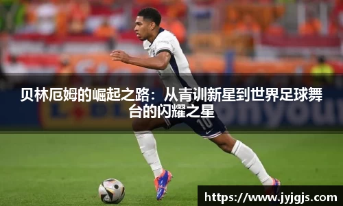 PA视讯